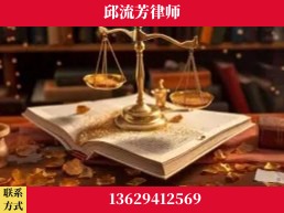 文山壮族-委托诉讼代理人出庭